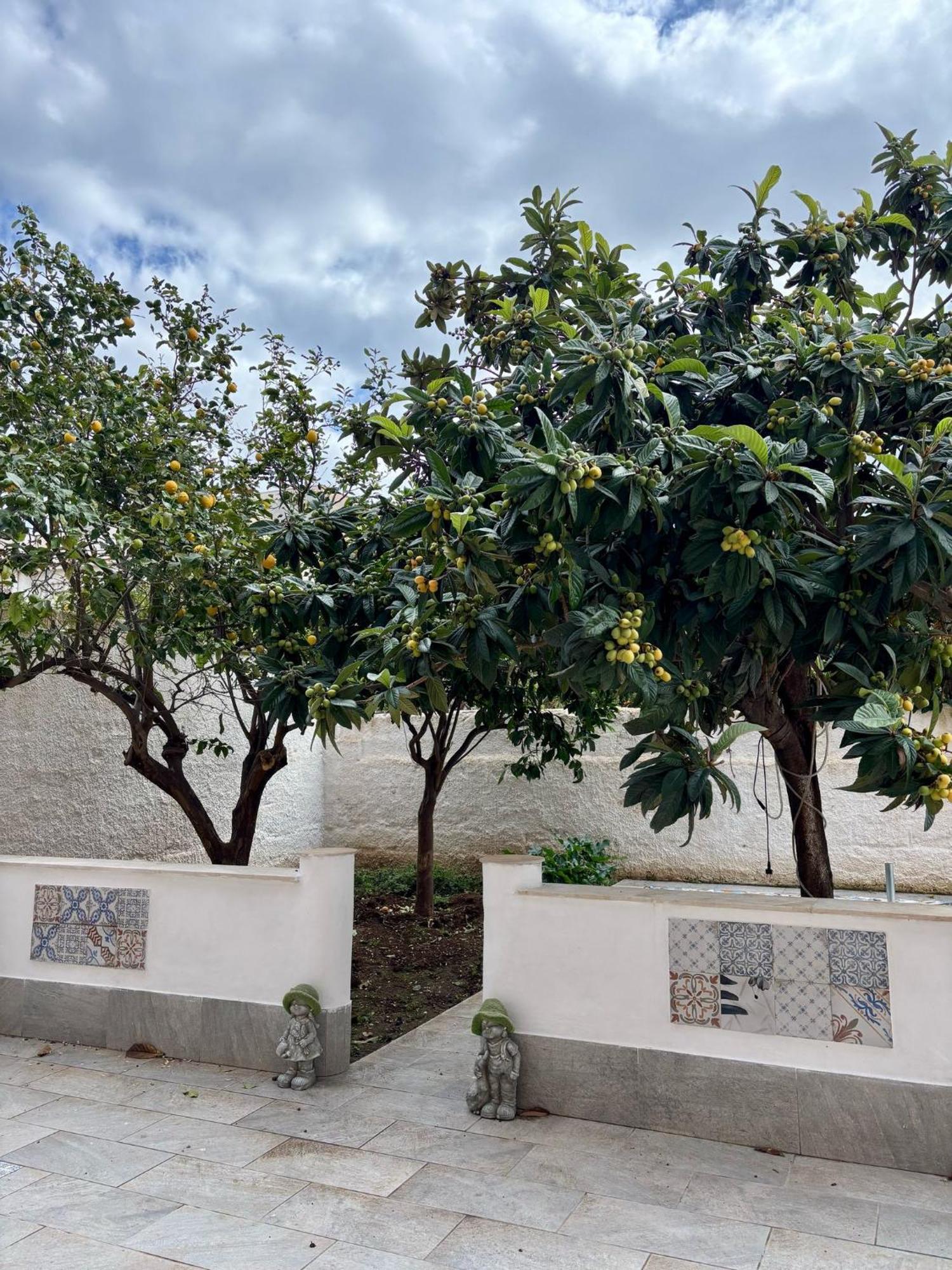 Residence Prato 埃里切 外观 照片